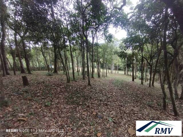 #736 - Terreno para Venda em São Bernardo do Campo - SP